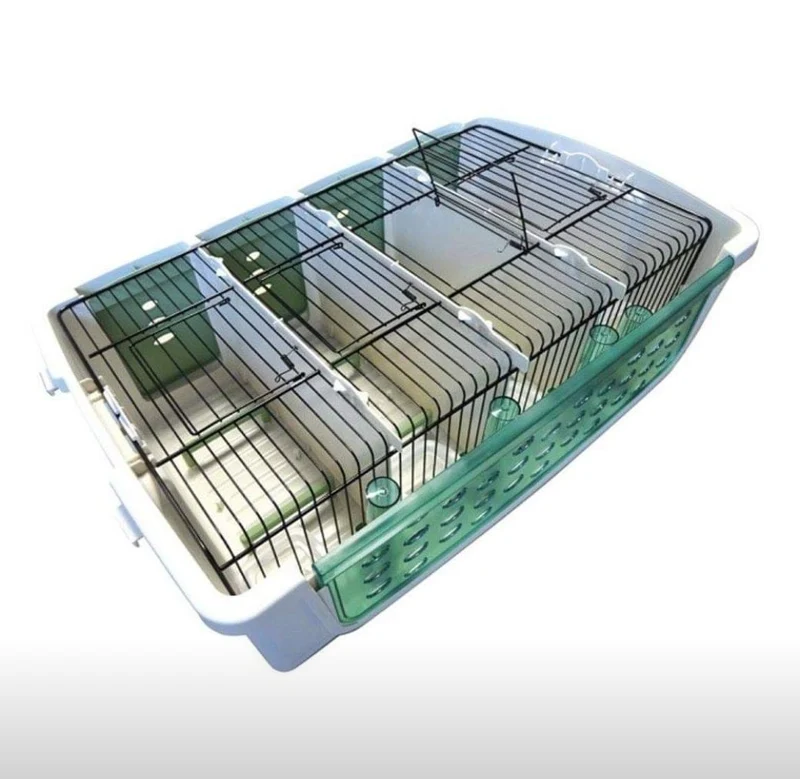 Boîte de transport en plastique Safari (4 pièces avec couvercle)
