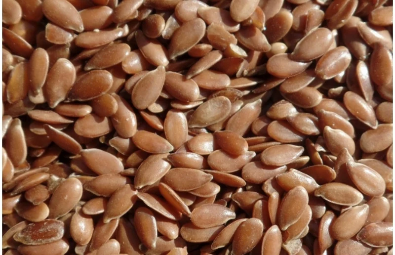 Graine de lin marron 1kg