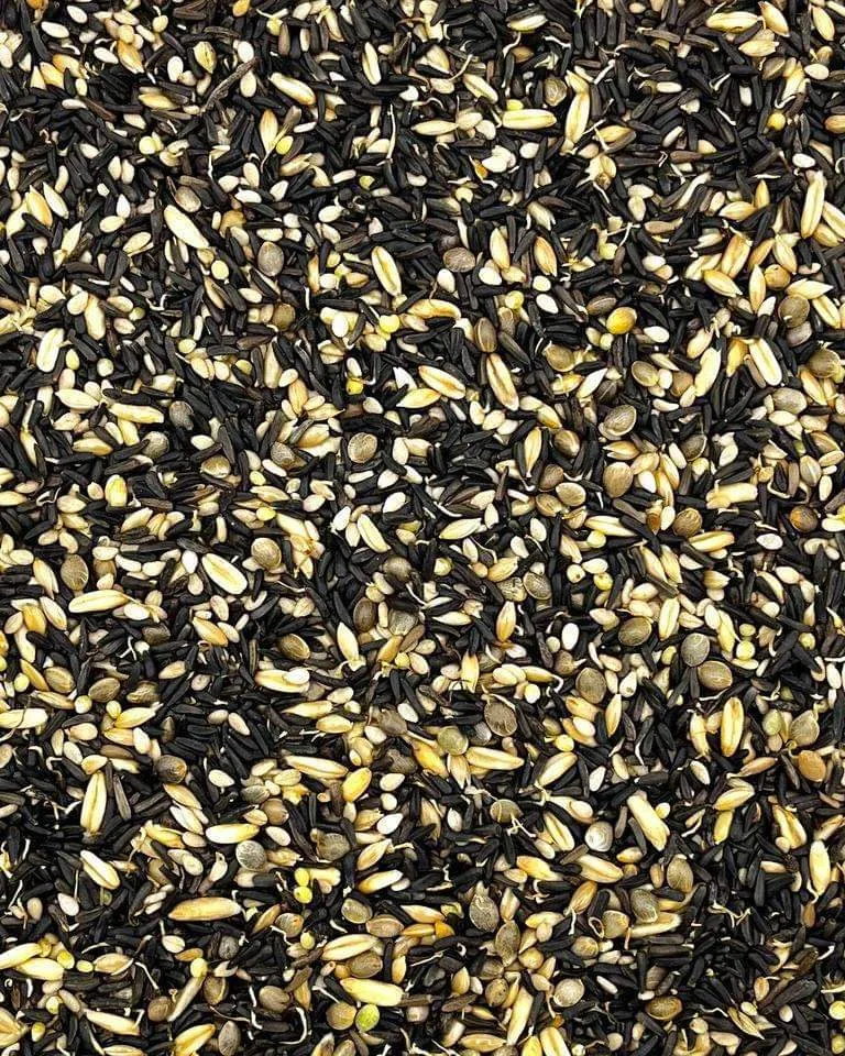 Germix Chardonnerets ( CARDELLINI ) 4kg