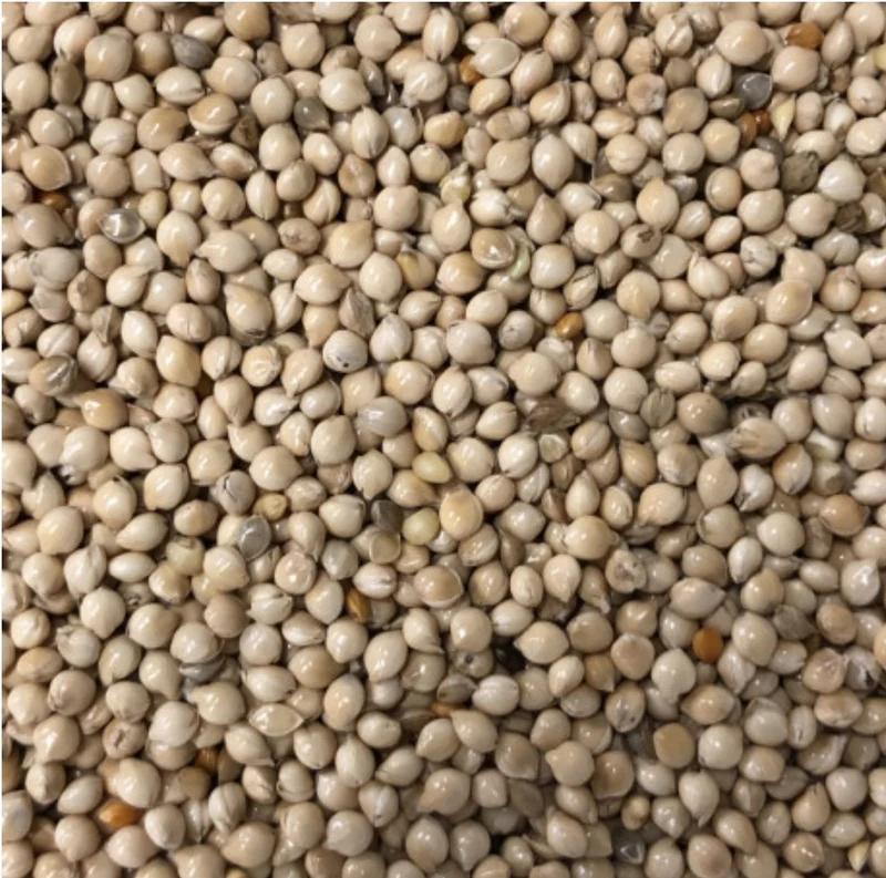 Germix Exotiques (Oiseaux Tropicaux) 4kg