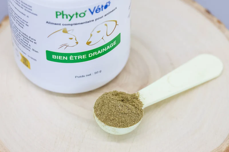 BIEN ÊTRE DRAINAGE