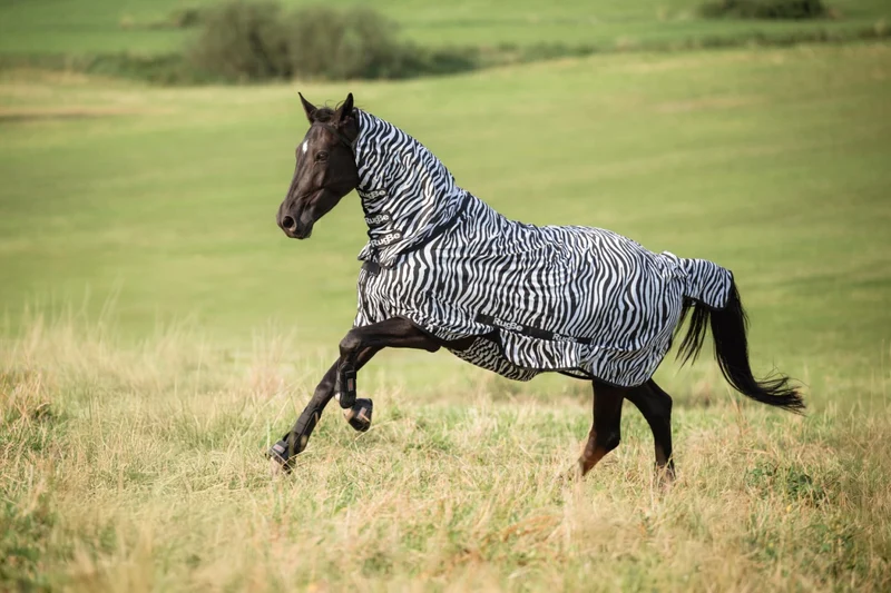 Couverture Zebre protection intégrale anti mouches et taons pour dos 165 cm