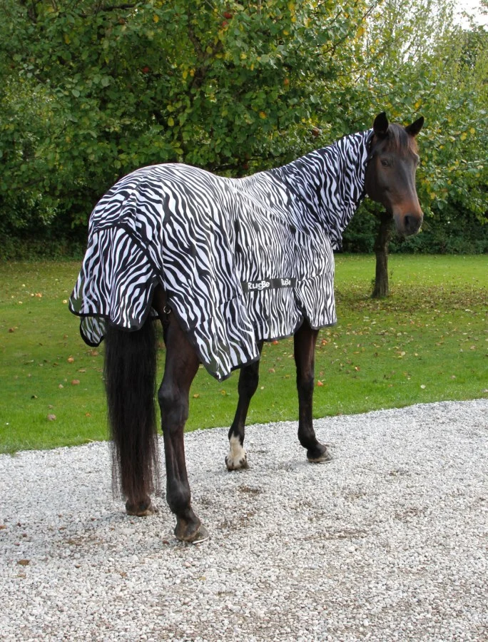 Couverture Zebre protection intégrale anti mouches et taons pour dos 165 cm