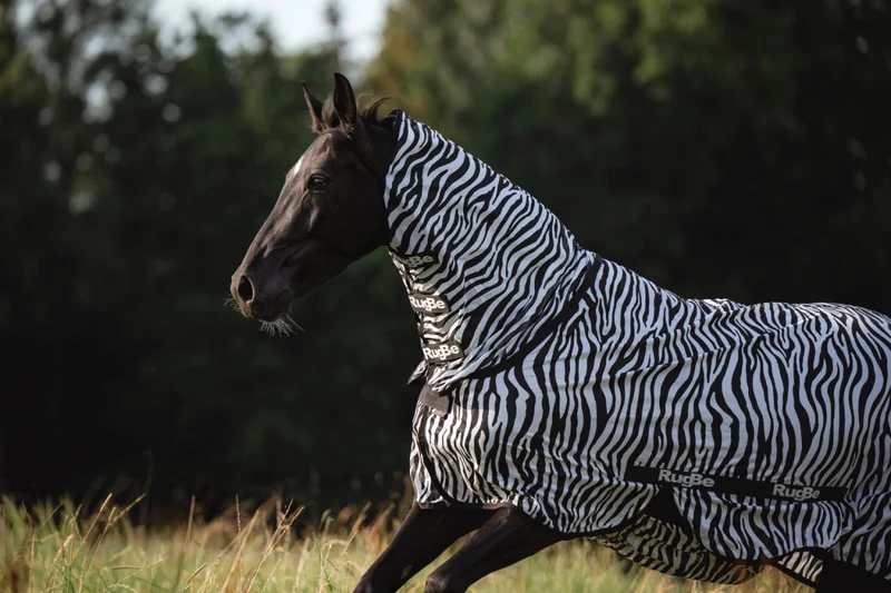 Couverture Zebre protection intégrale anti mouches et taons pour dos 165 cm