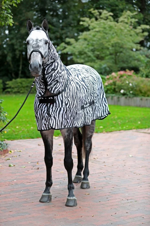 Couverture Zebre protection intégrale anti mouches et taons pour dos 165 cm