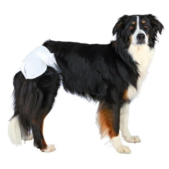 Couche culotte x 12 - Chienne