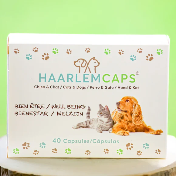 Huile de Haarlem Chat & Chien – Cure Bien-être | Phyto Véto