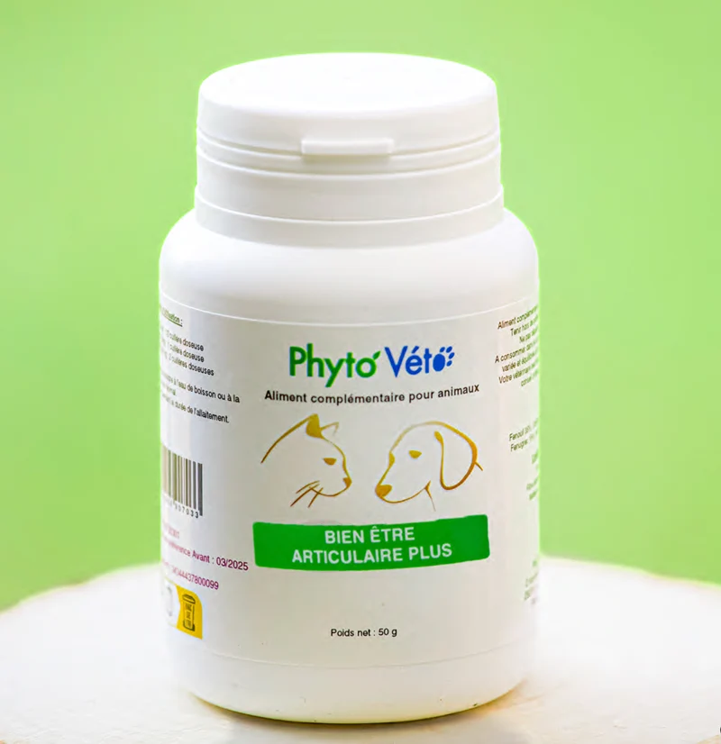 Bien-être Articulaire Chat & Chien – Phyto Véto