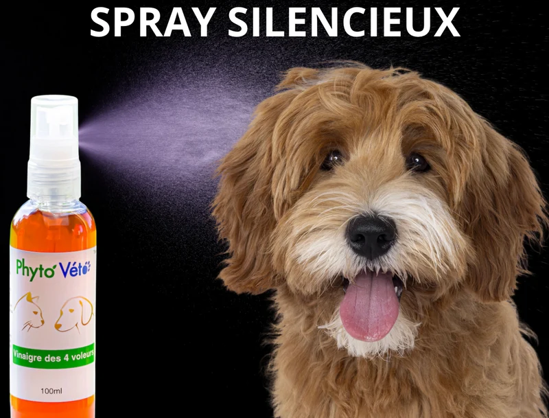 Vinaigre des 4 voleurs - 100ml