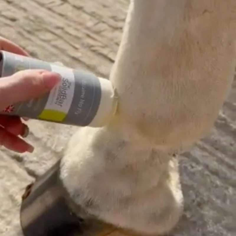 Stick Large Anti-Mouches Facile pour Cheval