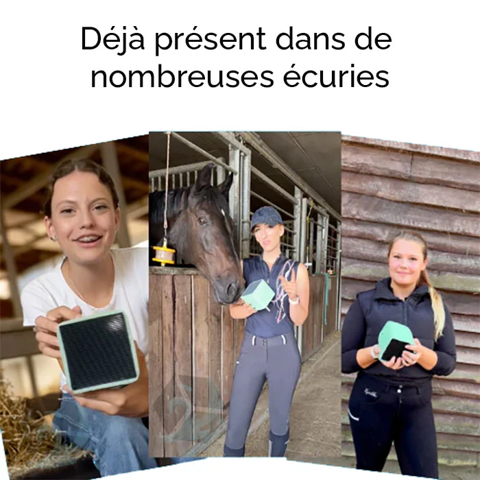 Cube charbon actif d'abreuvoirs pour chevaux