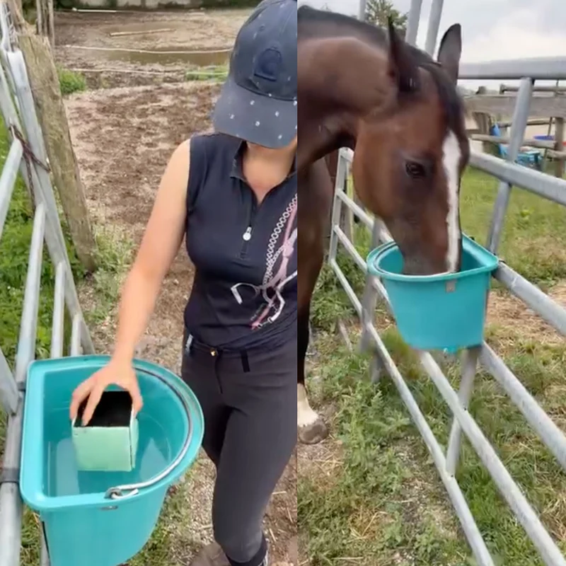 Cube charbon actif d'abreuvoirs pour chevaux