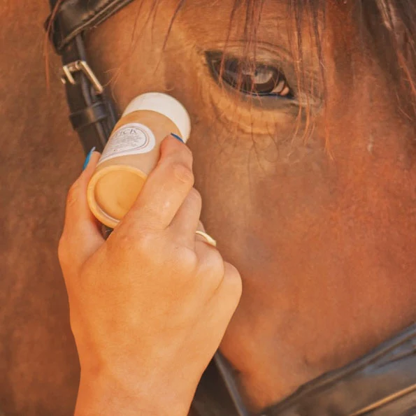 Stick Anti-Mouches Facile pour Cheval