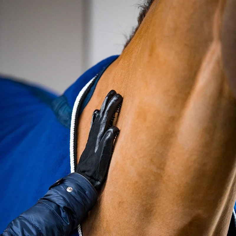 EquiCaress : Gants de shampouinage pour faire mousser son cheval à la douche