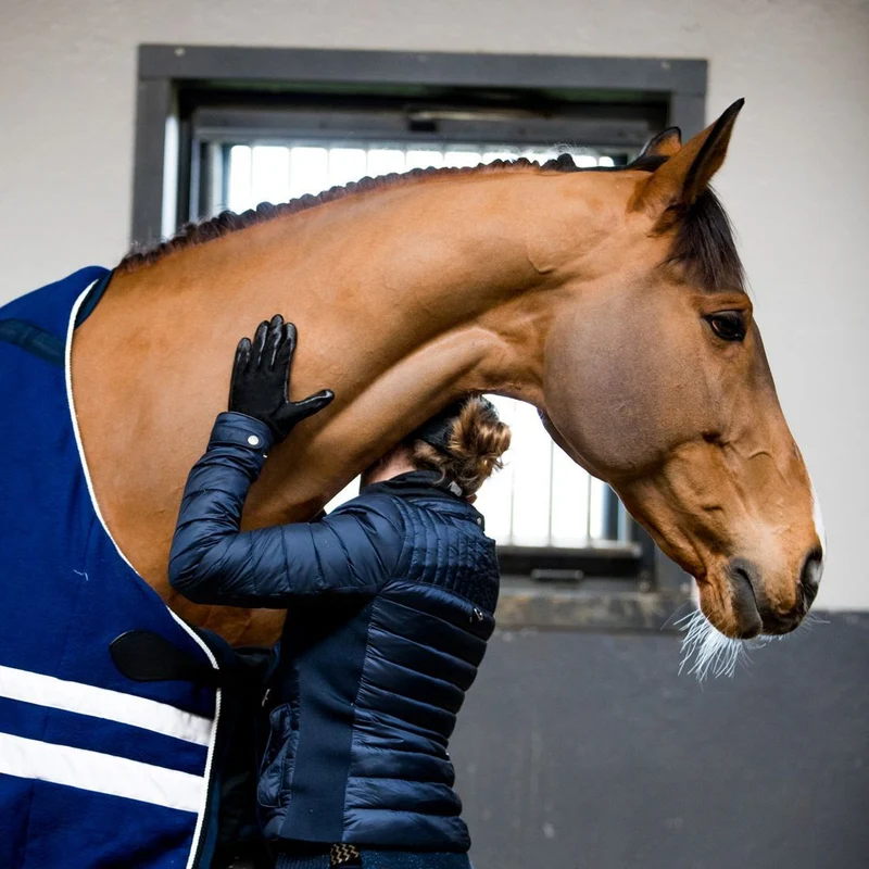EquiCaress : Gants de shampouinage pour faire mousser son cheval à la douche