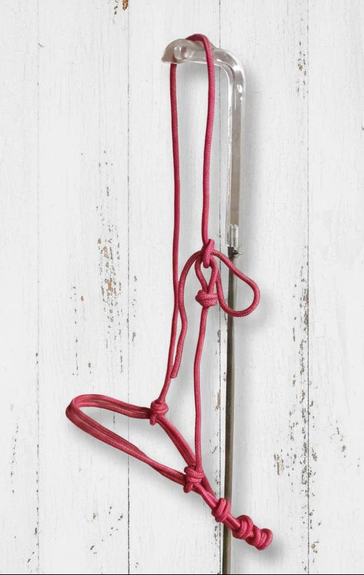 Muserolle en nylon pour cheval