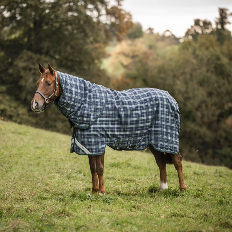 Rhino Couvre-Cou Turnout 150g Hunter Check/Green/Navy