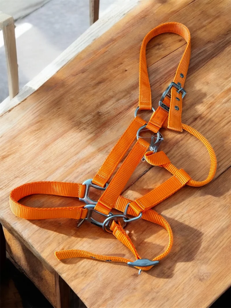 Licols équithème nylon en boucles inoxydables