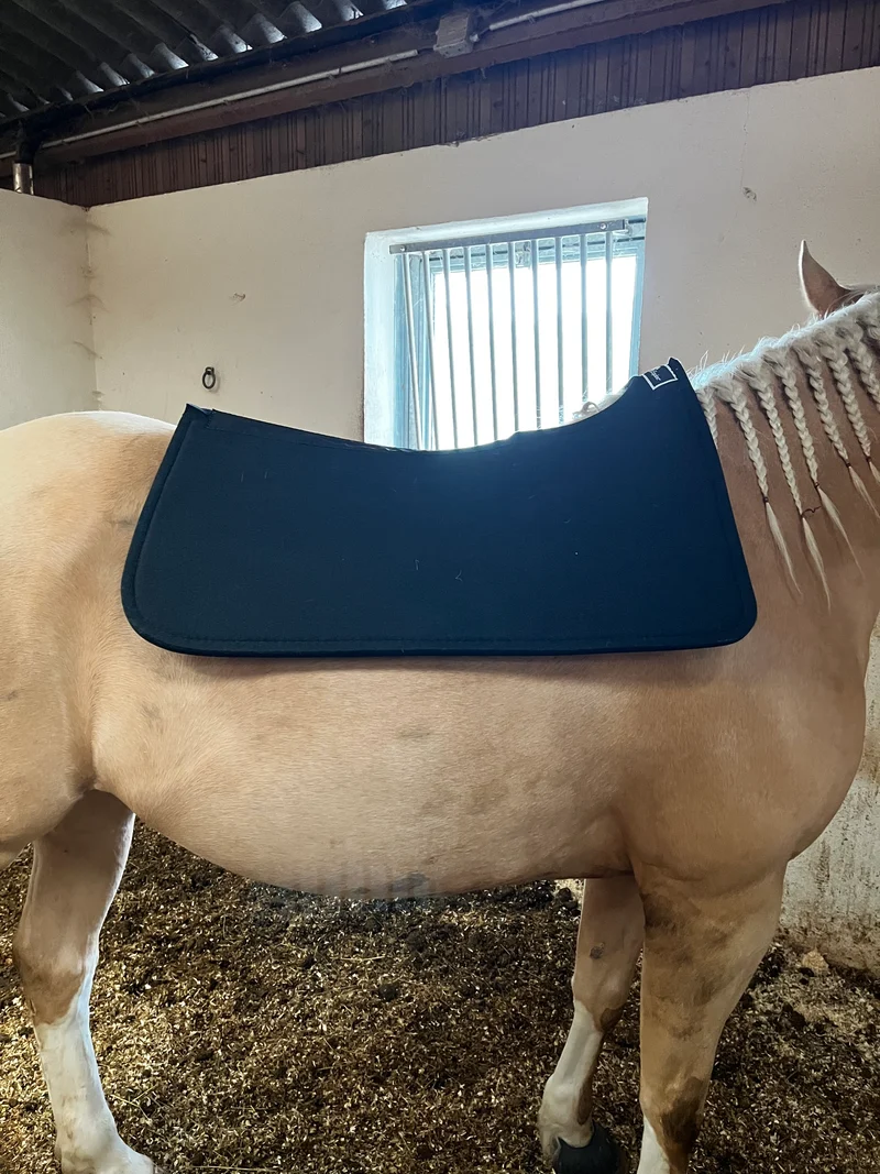 ContourPedic Reiner Pad Classic Equine – Tapis de Selle Western Haute Performance