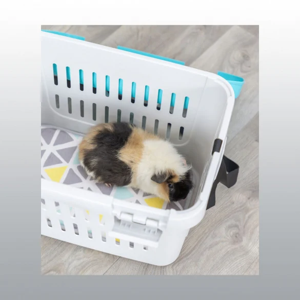 Cage de transport pour cochons d'indes et lapins nains