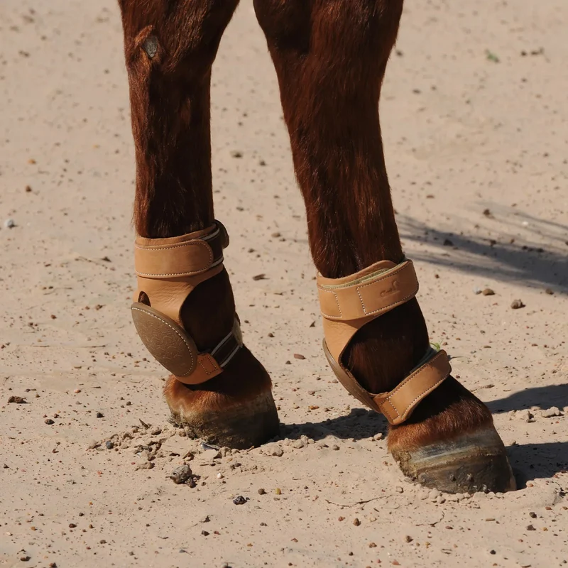 Guêtres Pro Reiner Skid Boots Classic Equine – Protection Sliding Stop