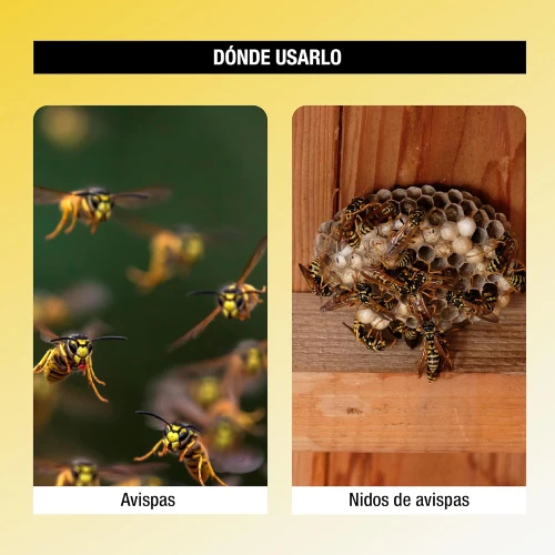 Protect Home Espuma Anti-Avispas 750 ml