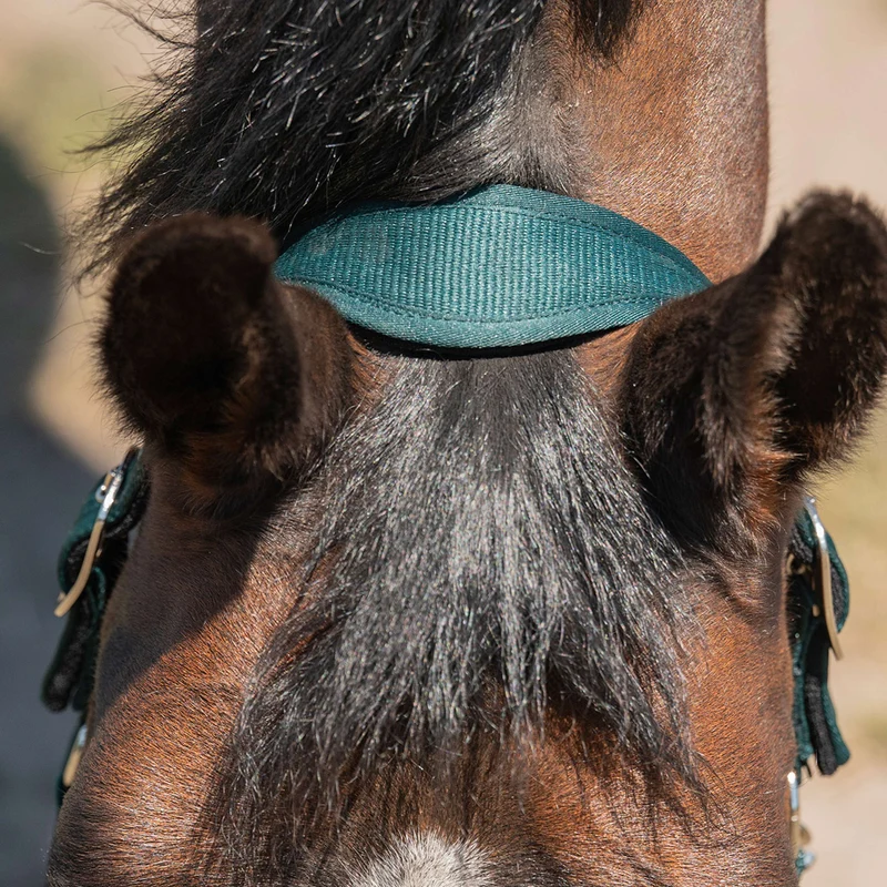 Agradi Horse Licol Athletic Fir Green