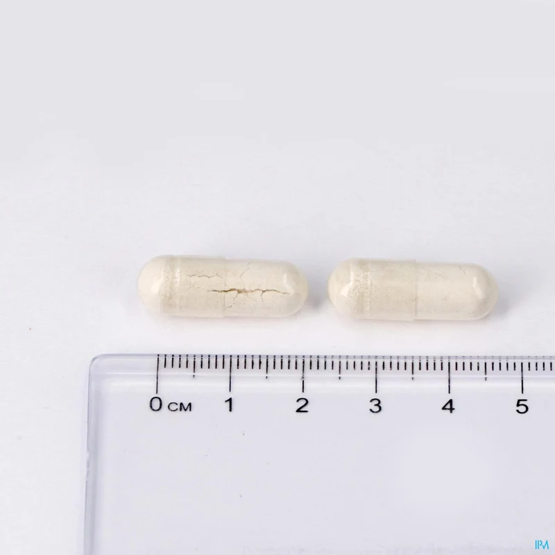 Lepivits Dolomiet rijk aan calcium en magnesium