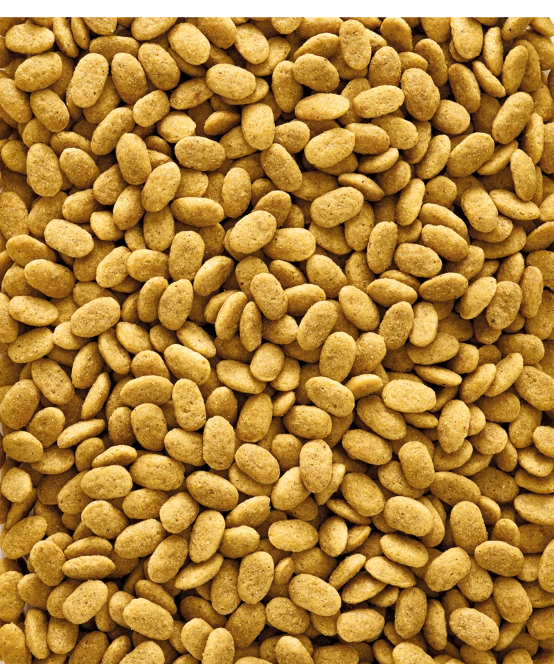 Nutribird granulés P15 perroquets