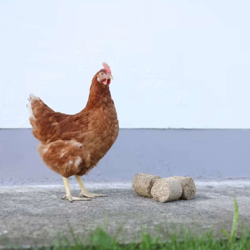 Kerbl Blocs d'épeautre pour Poulets