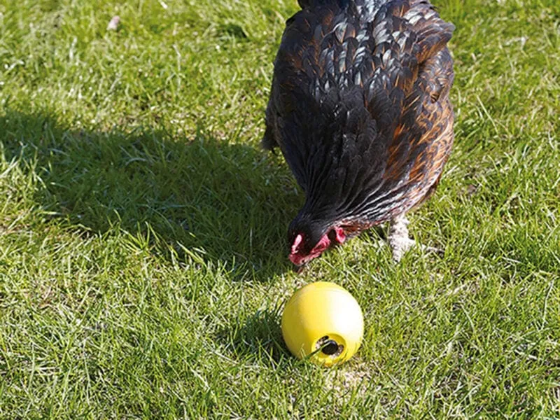 Jouet pour poule Chicken Fun