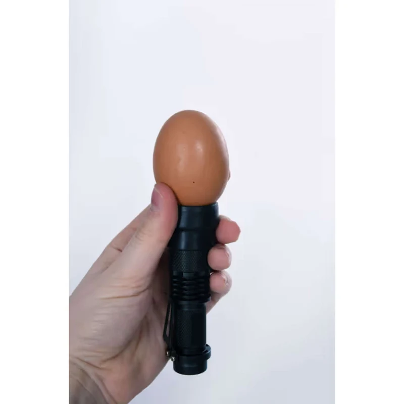 Kerbl Lampe LED mire-œuf Noir