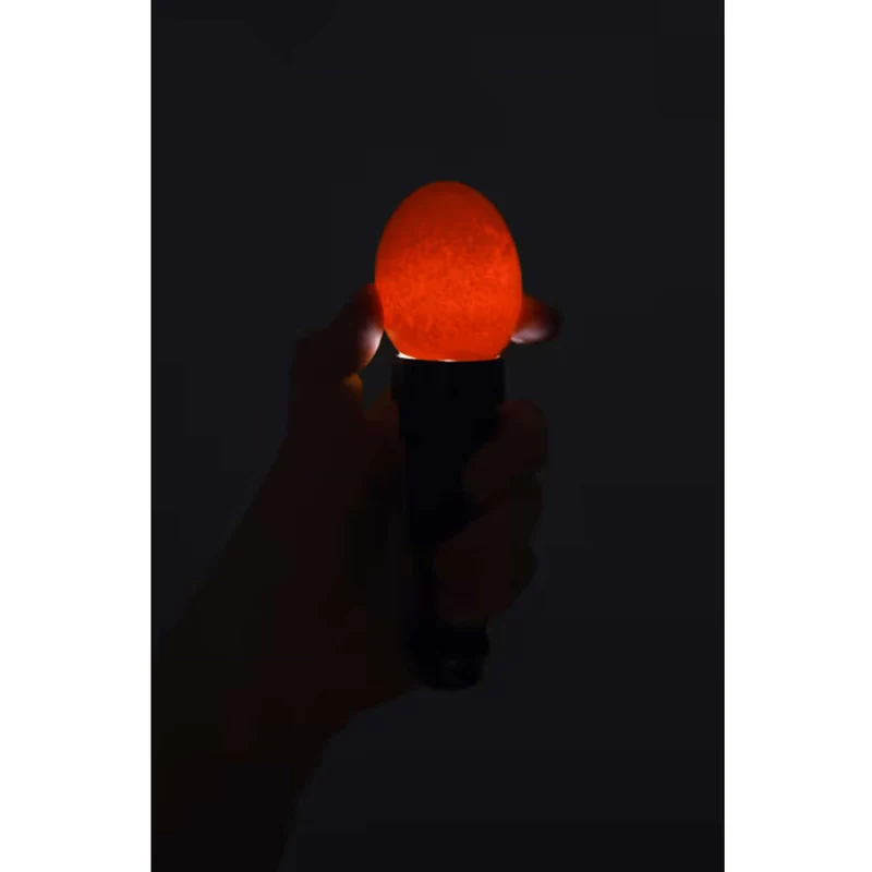 Kerbl Lampe LED mire-œuf Noir