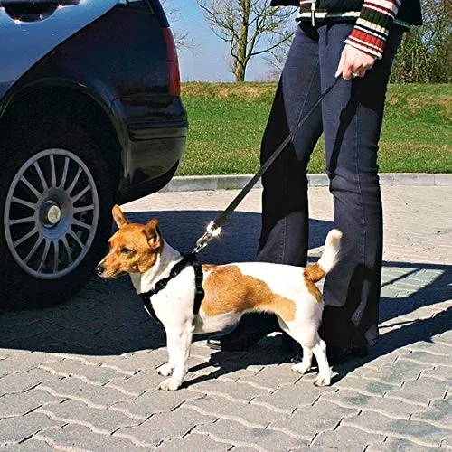 Trixie - Imbracatura con Cintura di Sicurezza