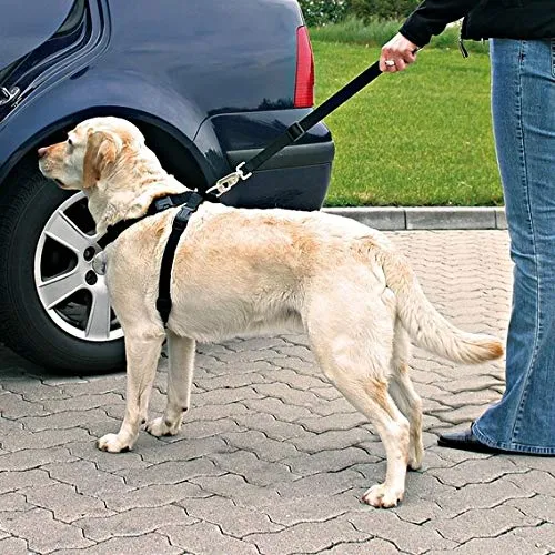 Trixie - Imbracatura con Cintura di Sicurezza