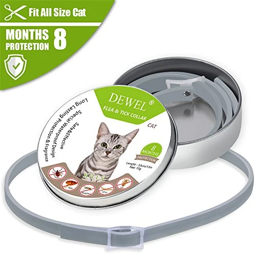 Dewel cane collare antipulci pulci e zecche collare per cani regolabile impermeabile Proteggere per gatti
