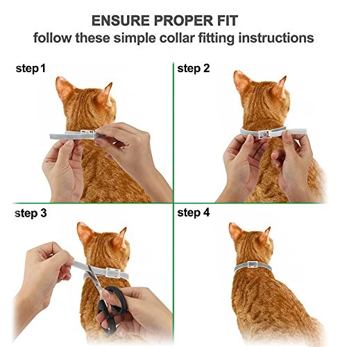 Dewel cane collare antipulci pulci e zecche collare per cani regolabile impermeabile Proteggere per gatti
