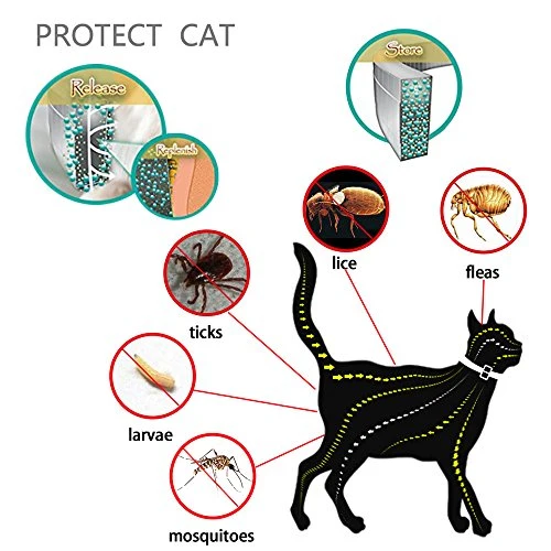 Dewel cane collare antipulci pulci e zecche collare per cani regolabile impermeabile Proteggere per gatti