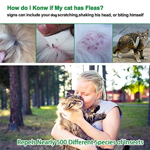 Dewel cane collare antipulci pulci e zecche collare per cani regolabile impermeabile Proteggere per gatti