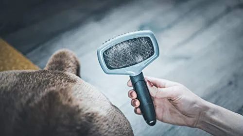 VETOCANIS - Spazzola da toelettatura per Cani