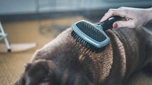 VETOCANIS - Spazzola da toelettatura per Cani