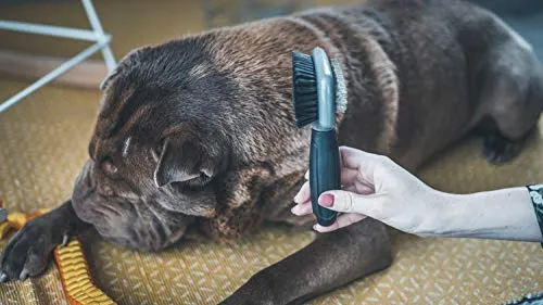 VETOCANIS - Spazzola da toelettatura per Cani