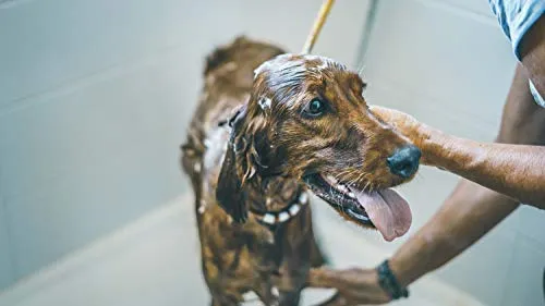 Vétocanis - Shampoo per la Cura