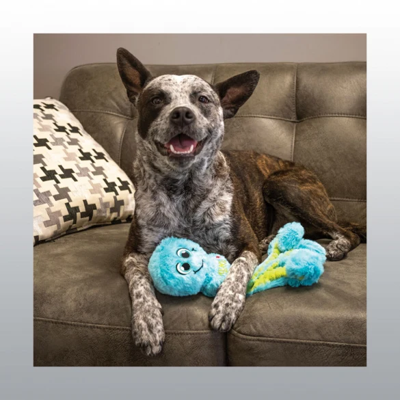 Jouet Wubba octopus pour chien