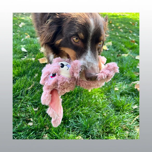 Jouet Scrumplez bunny