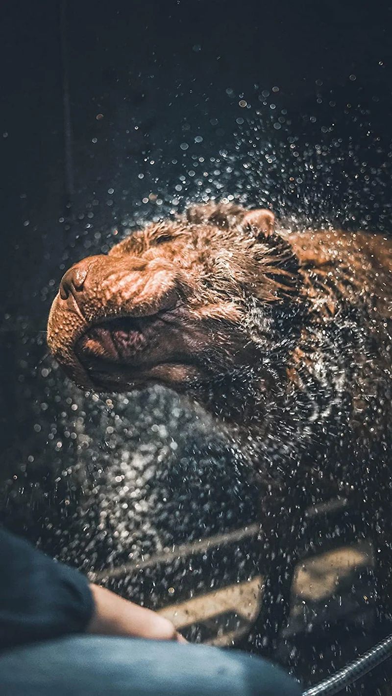 Vetocanis Shampoo Ipoallergenico