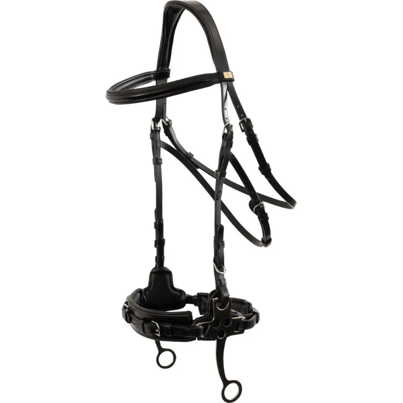 BR Hackamore Thornbury Noir/Argent
