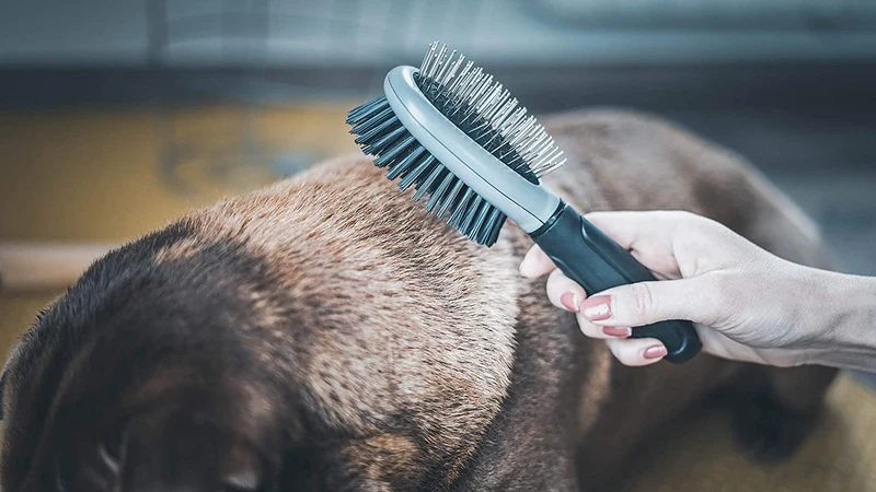 Vetocanis Spazzola Pneumatica Doppia Cane