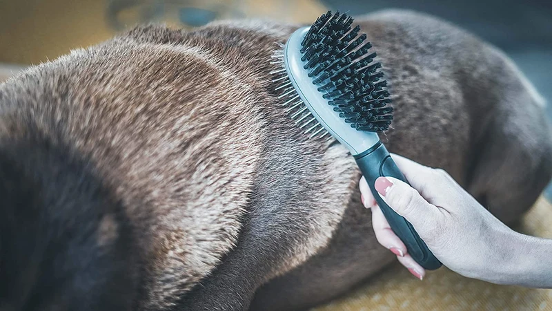 Vetocanis Spazzola Pneumatica Doppia Cane