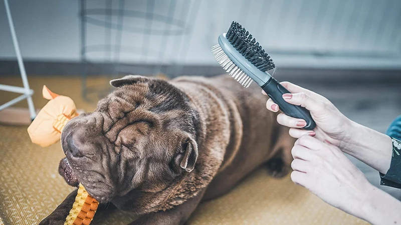 Vetocanis Spazzola Pneumatica Doppia Cane